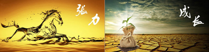 企業(yè)發(fā)展要學(xué)會取他人之長、補(bǔ)自己之短 企業(yè)發(fā)展要學(xué)會取他人之長、補(bǔ)自己之短